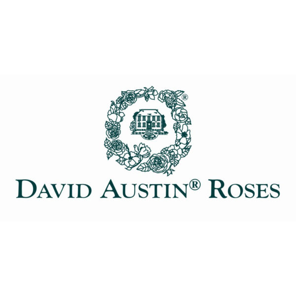 David Austin Roses NNBA