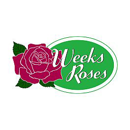 Rose weeks